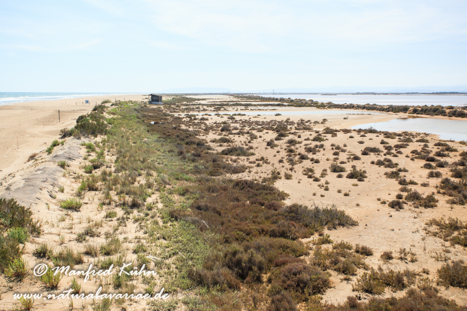 Ebrodelta (Spanien)_0214