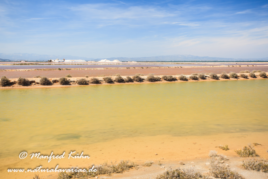 Ebrodelta (Spanien)_0215