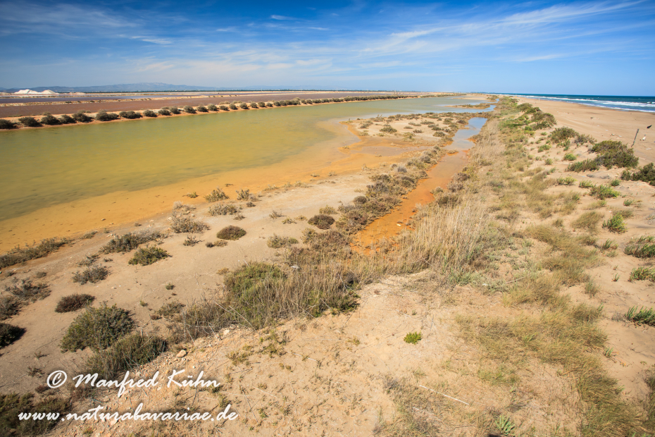 Ebrodelta (Spanien)_0217