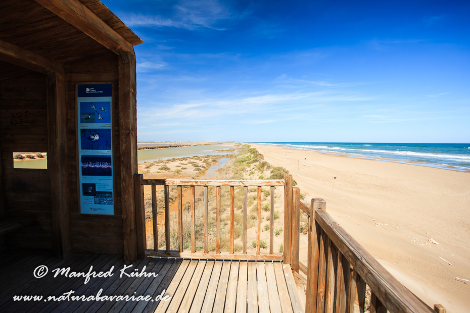 Ebrodelta (Spanien)_0218