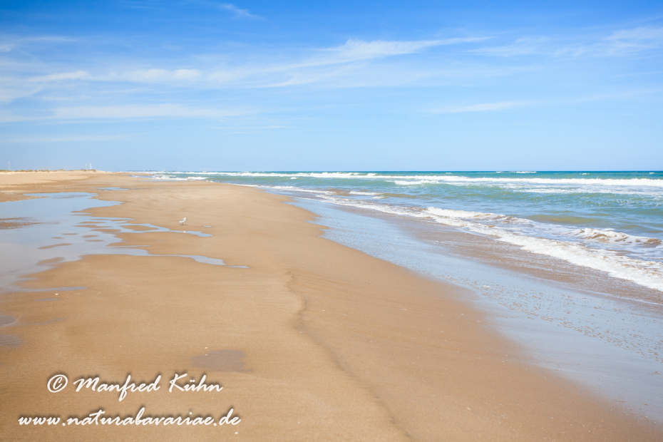 Ebrodelta (Spanien)_0220