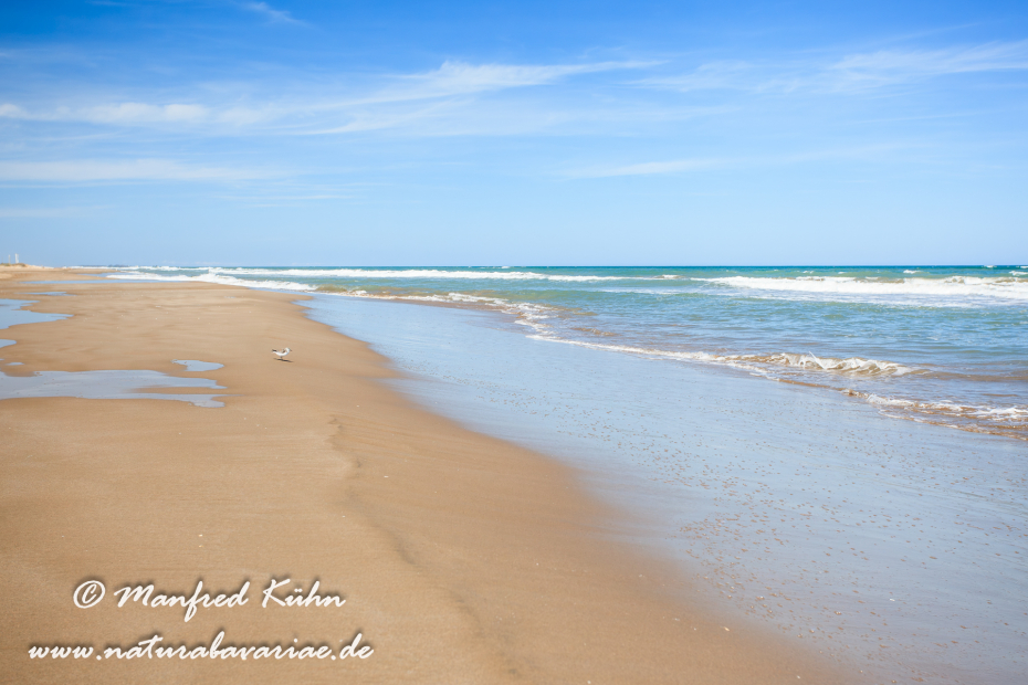 Ebrodelta (Spanien)_0221