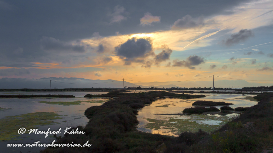 Ebrodelta (Spanien)_0224