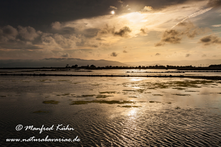 Ebrodelta (Spanien)_0227