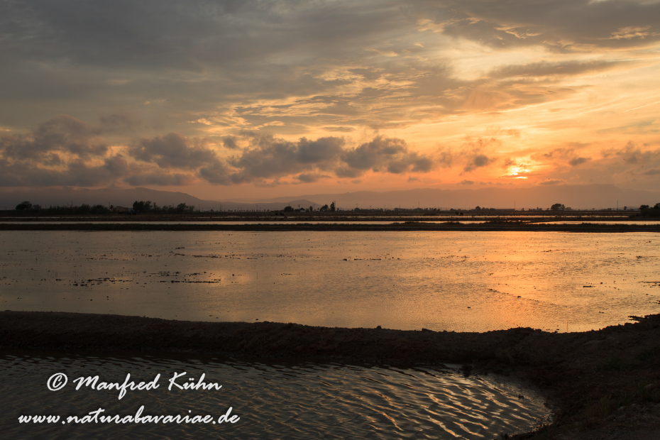 Ebrodelta (Spanien)_0230
