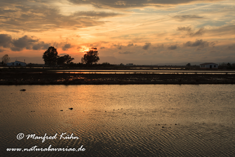Ebrodelta (Spanien)_0231
