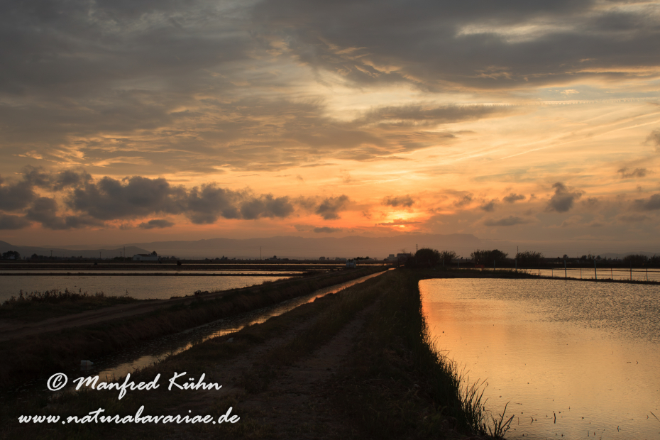 Ebrodelta (Spanien)_0232