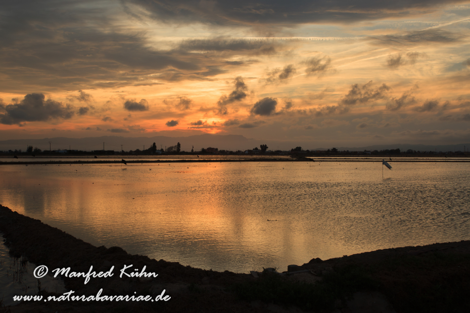 Ebrodelta (Spanien)_0233