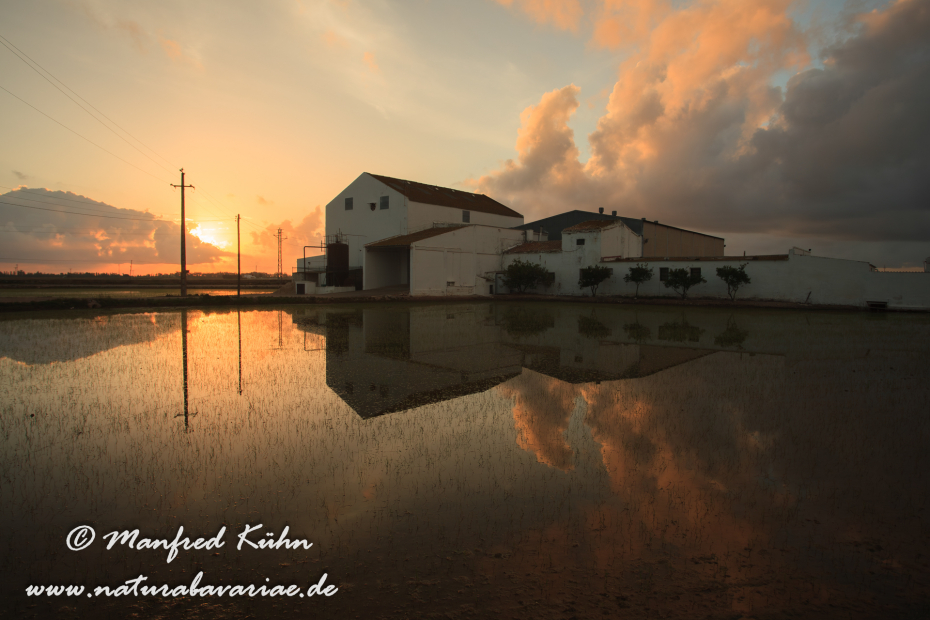 Ebrodelta (Spanien)_0234