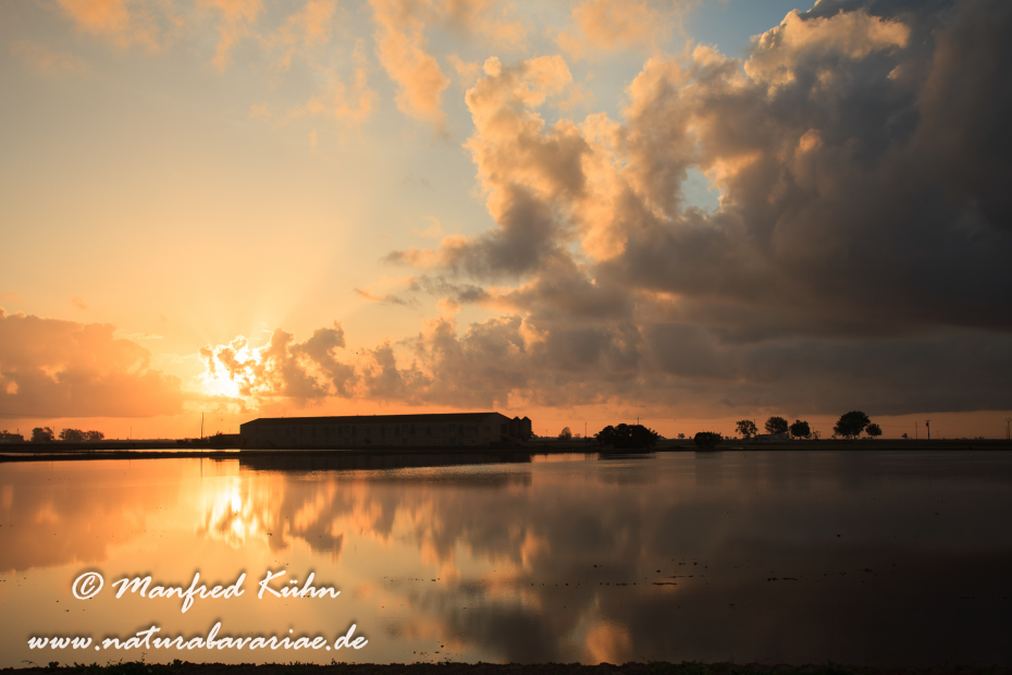 Ebrodelta (Spanien)_0236