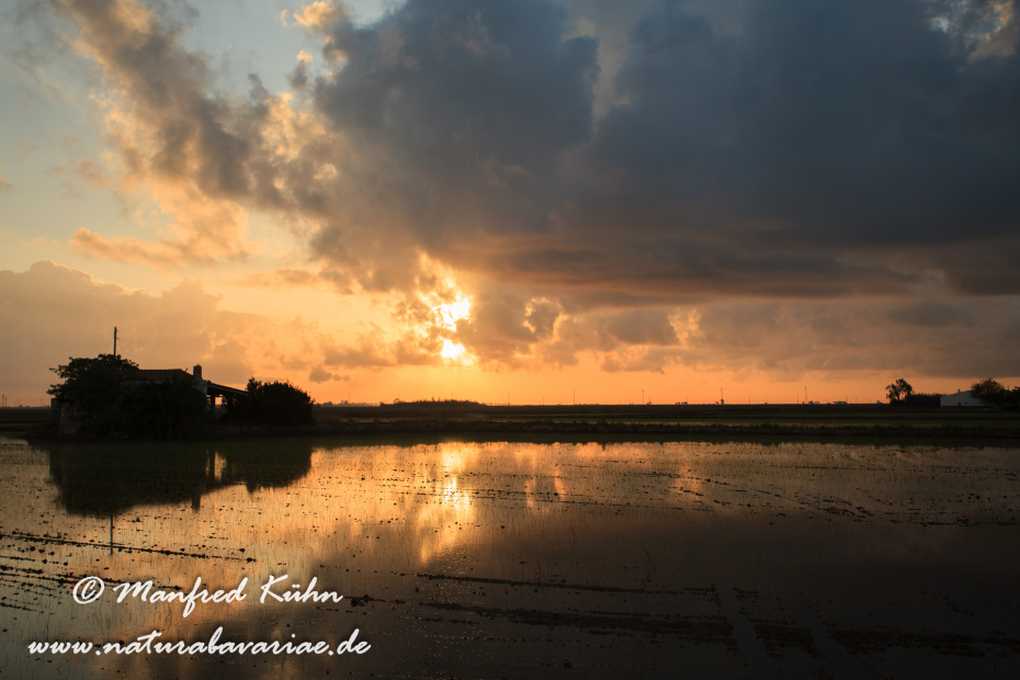 Ebrodelta (Spanien)_0237