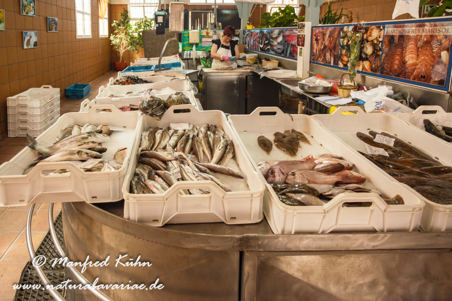 Ebrodelta (Spanien)_0248