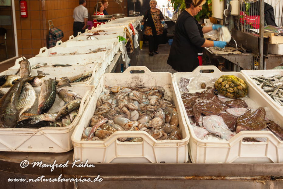 Ebrodelta (Spanien)_0249