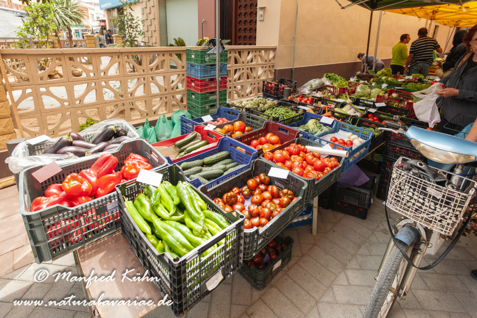 Ebrodelta (Spanien)_0257