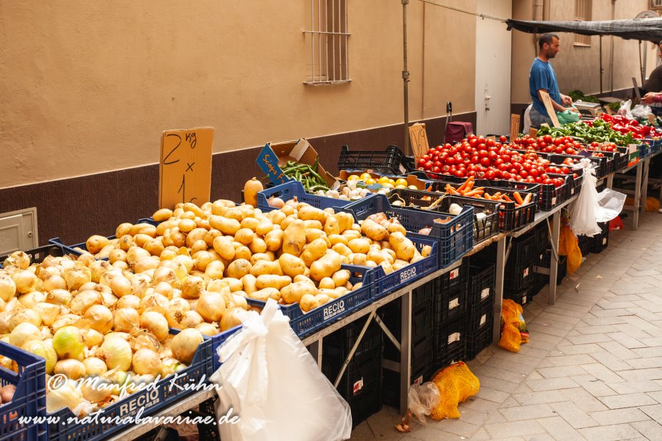 Ebrodelta (Spanien)_0258