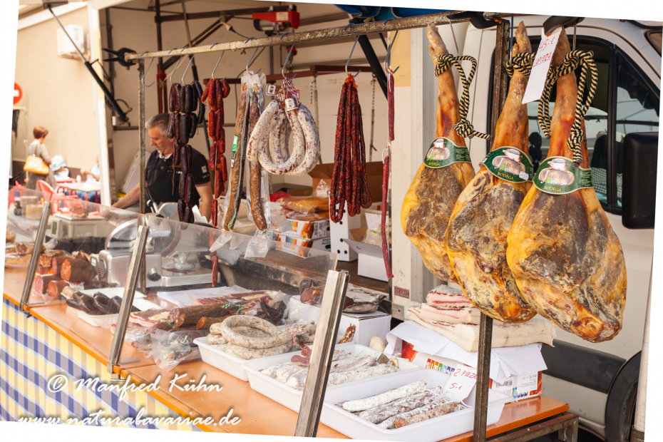Ebrodelta (Spanien)_0261