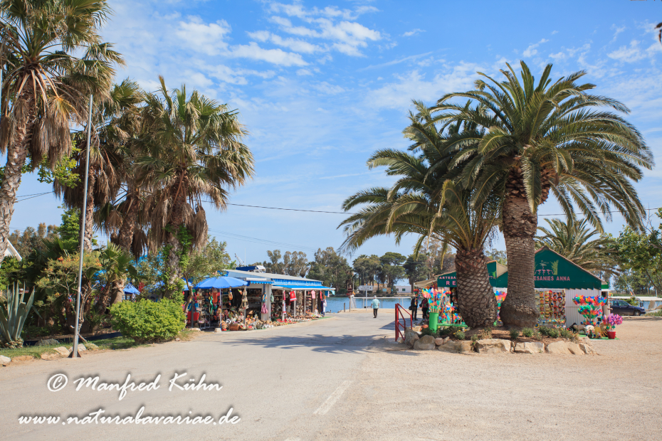 Ebrodelta (Spanien)_0263