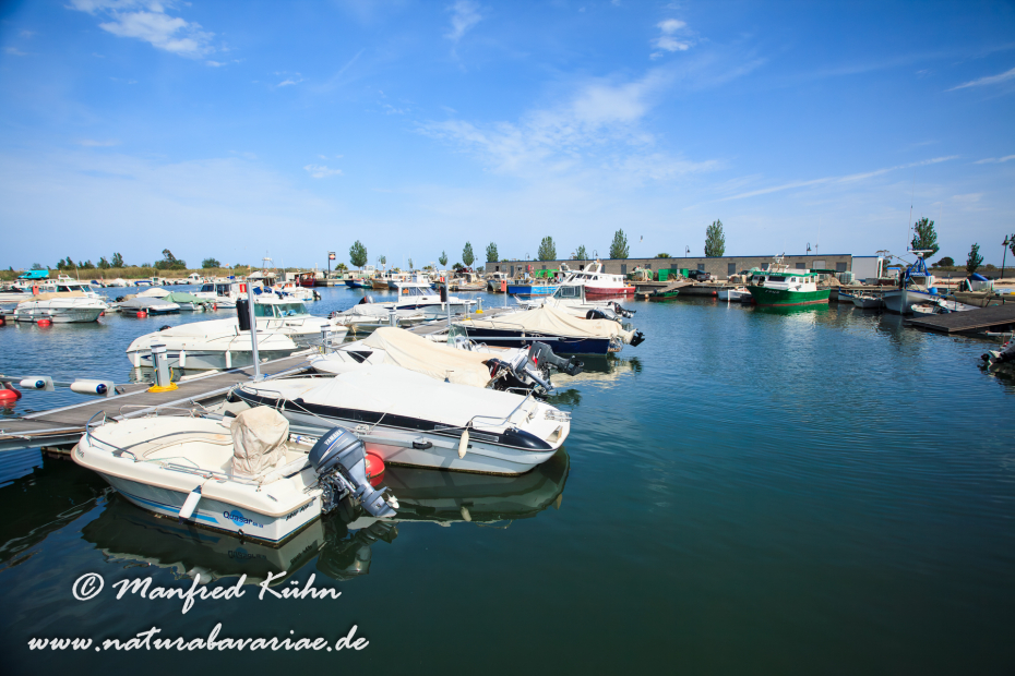 Ebrodelta (Spanien)_0270