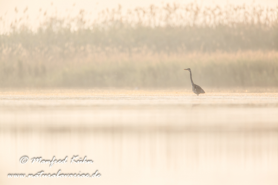 Ebrodelta (Spanien)_0282