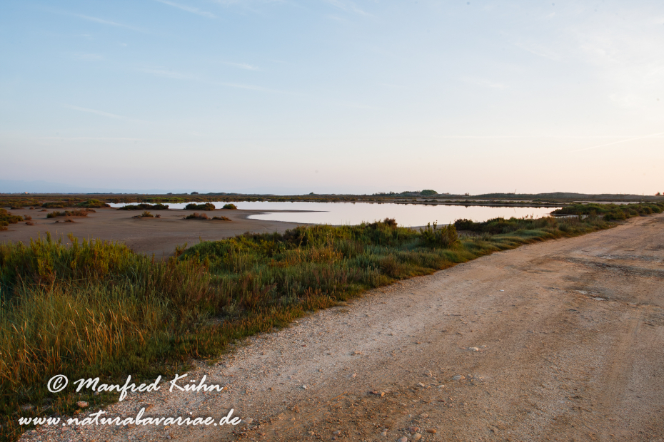 Ebrodelta-Spanien-Reisanbau_0127
