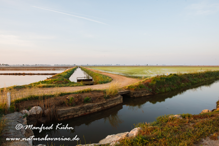Ebrodelta-Spanien-Reisanbau_0129