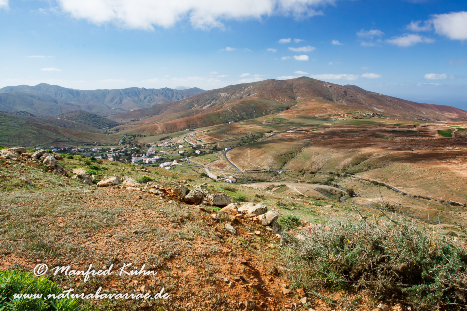 Fuerteventura (Spanien)_0010