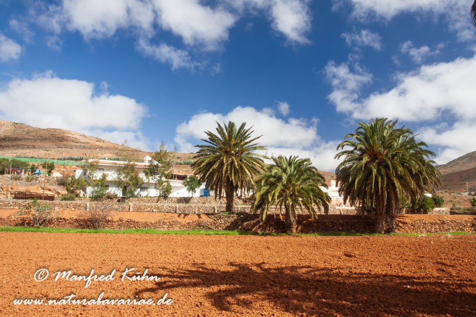 Fuerteventura (Spanien)_0019