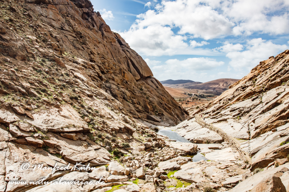 Fuerteventura (Spanien)_0022