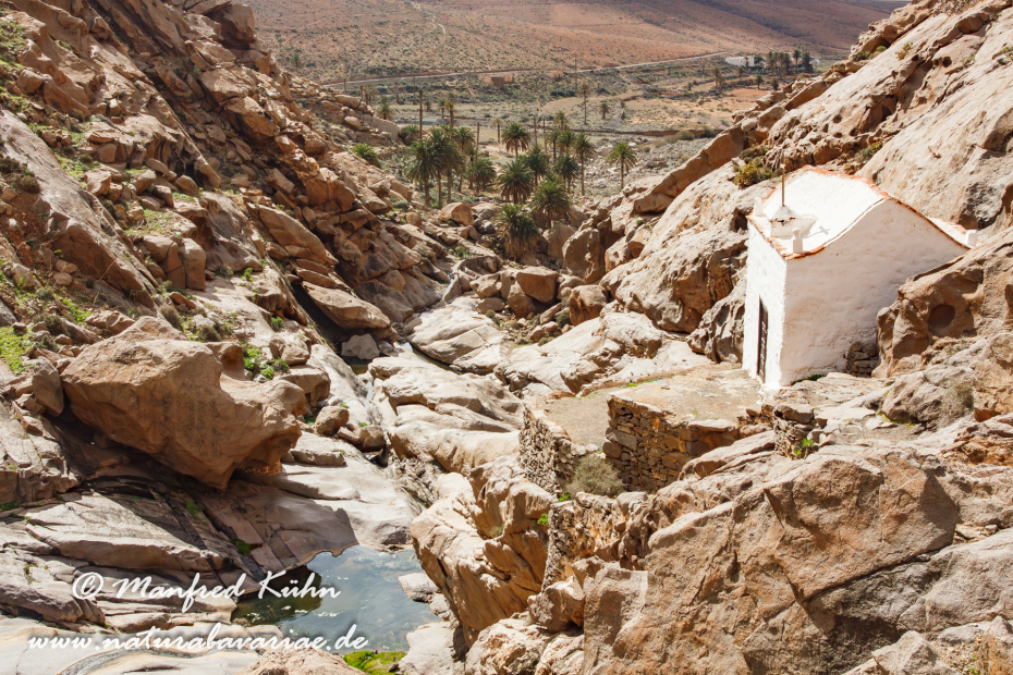Fuerteventura (Spanien)_0030