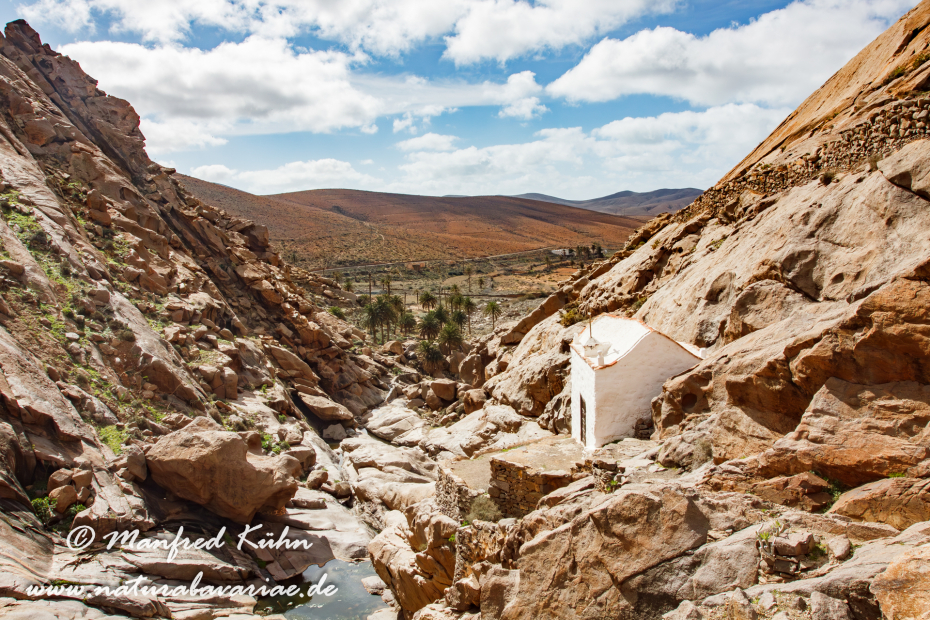 Fuerteventura (Spanien)_0031