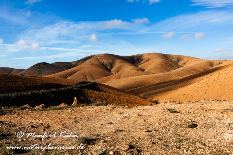 Fuerteventura (Spanien)_0039