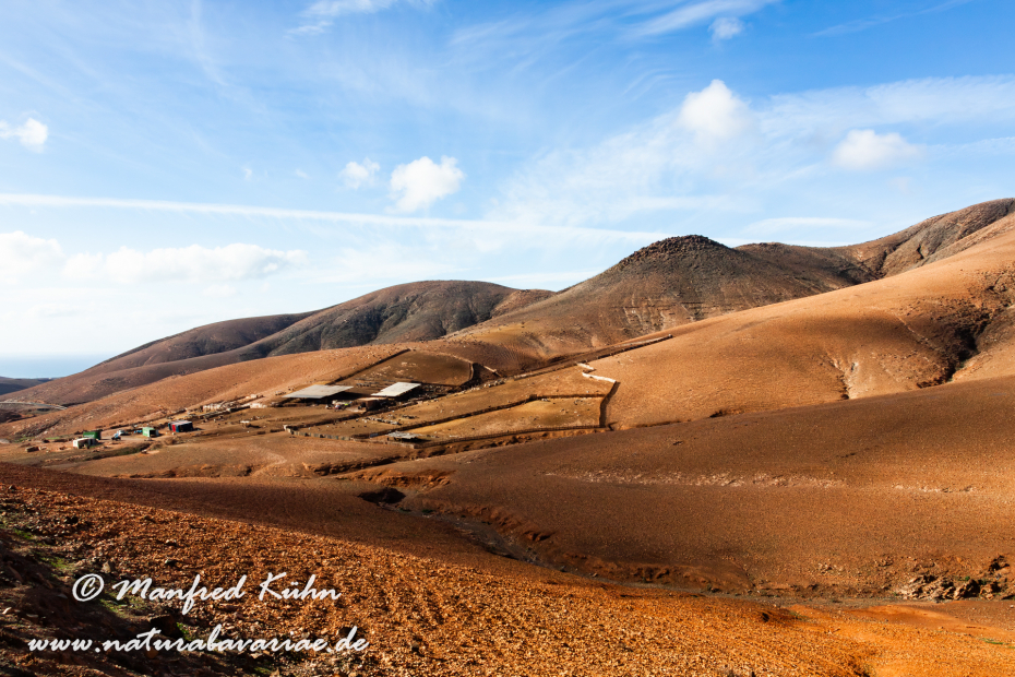 Fuerteventura (Spanien)_0040