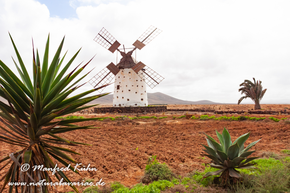 Fuerteventura (Spanien)_0043