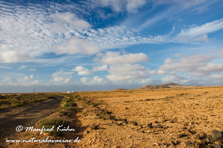 Fuerteventura (Spanien)_0046