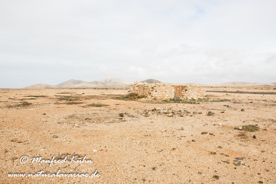 Fuerteventura (Spanien)_0048