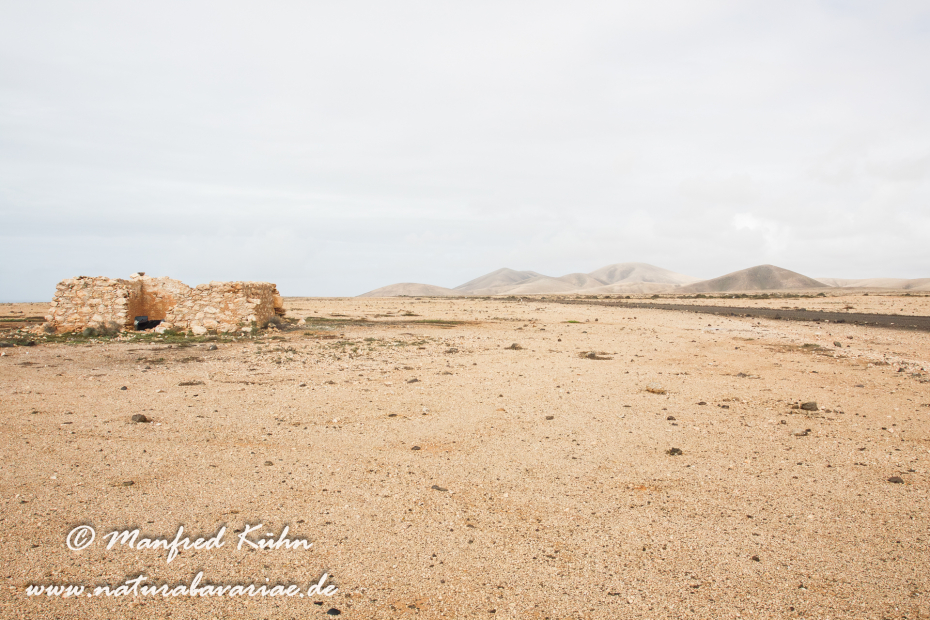 Fuerteventura (Spanien)_0049