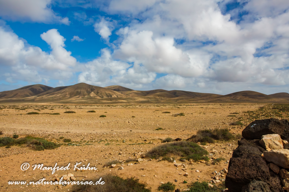 Fuerteventura (Spanien)_0051