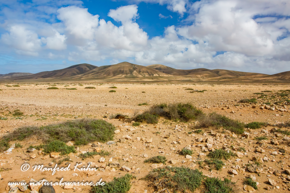 Fuerteventura (Spanien)_0052