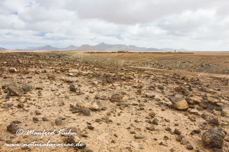 Fuerteventura (Spanien)_0055
