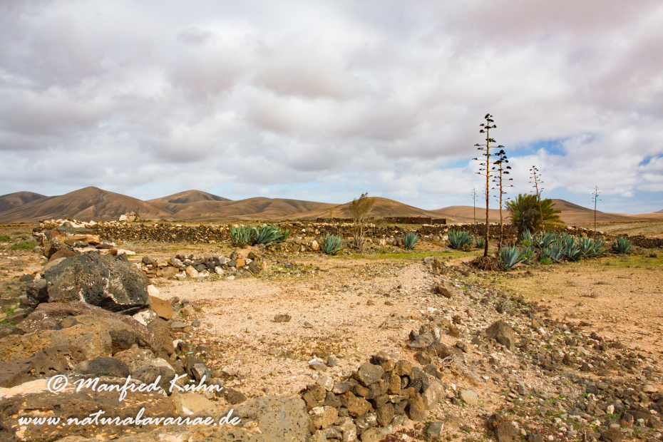 Fuerteventura (Spanien)_0057
