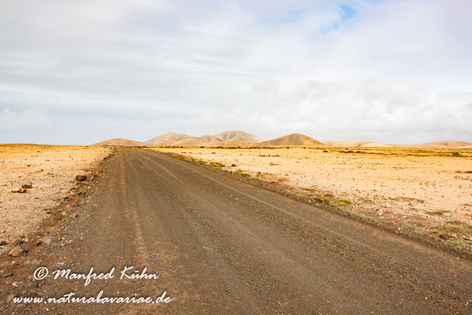 Fuerteventura (Spanien)_0058
