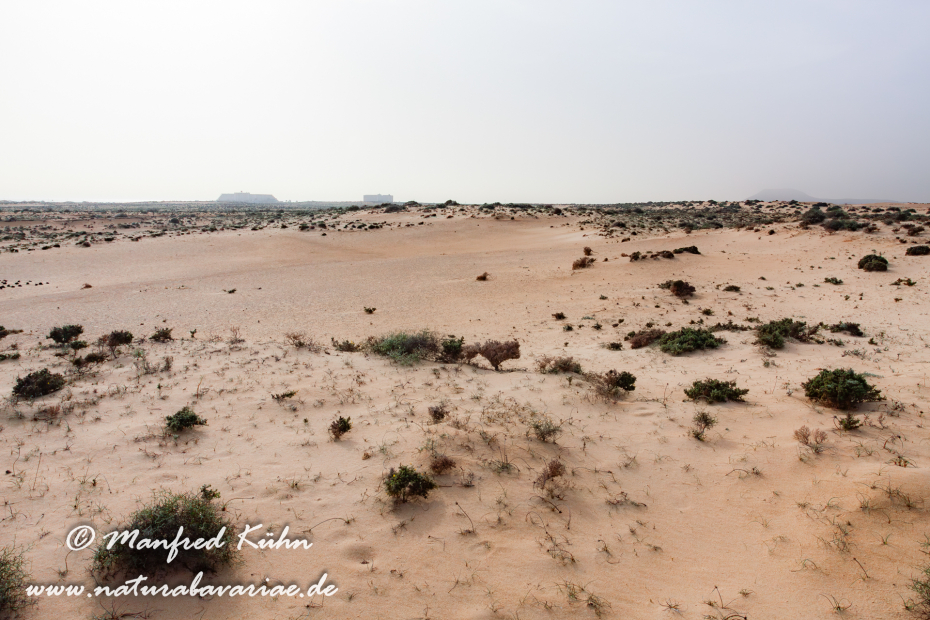 Fuerteventura (Spanien)_0068