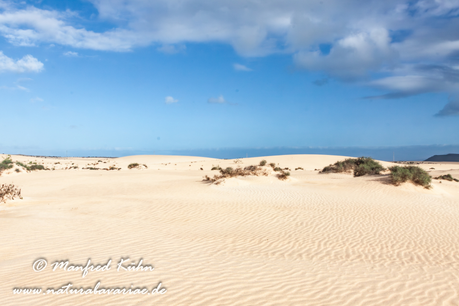 Fuerteventura (Spanien)_0075