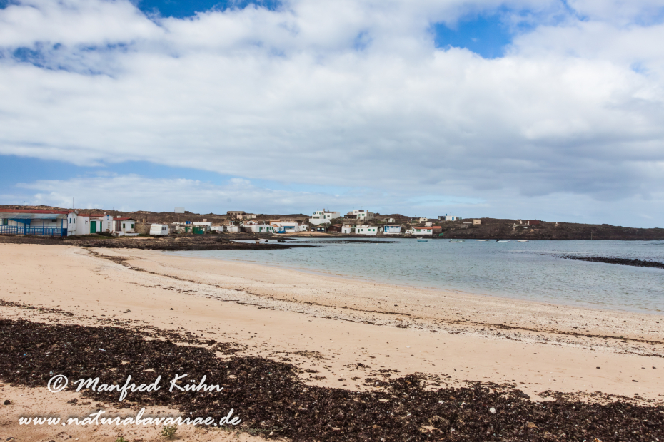 Fuerteventura (Spanien)_0076
