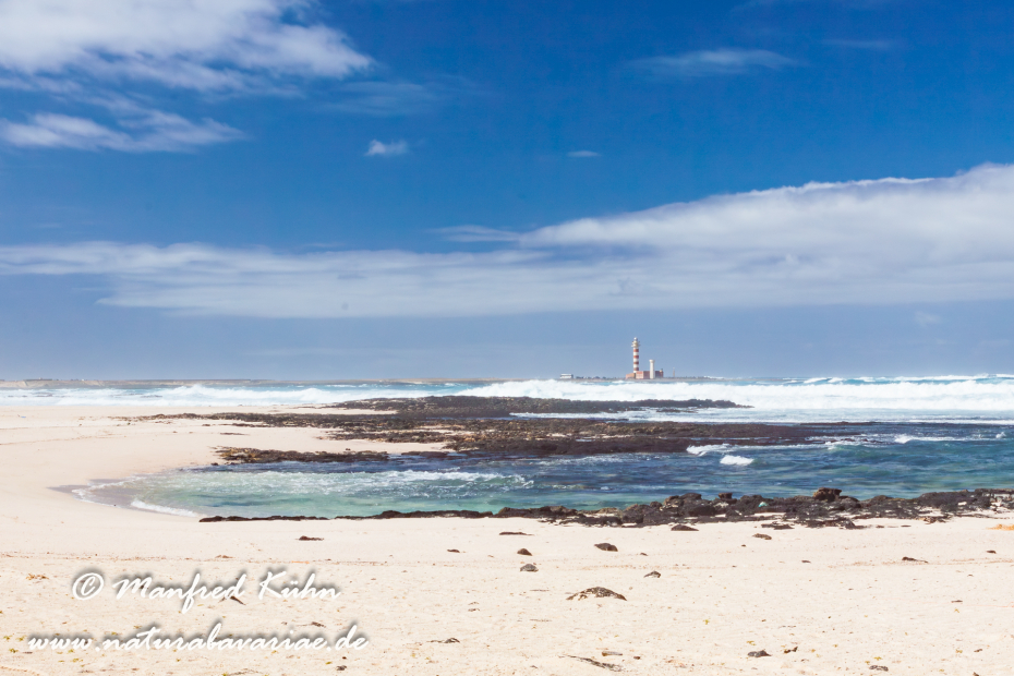 Fuerteventura (Spanien)_0080