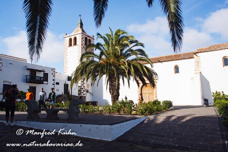 Fuerteventura (Spanien)_0100