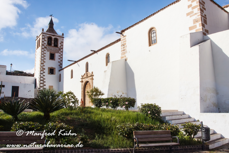 Fuerteventura (Spanien)_0101