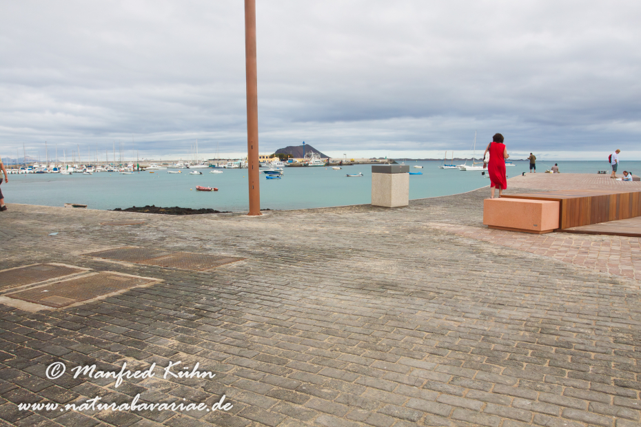 Fuerteventura (Spanien)_0117