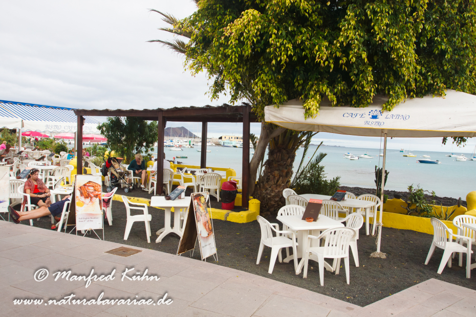 Fuerteventura (Spanien)_0119