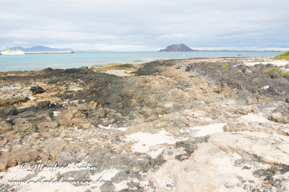 Fuerteventura (Spanien)_0124